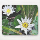 Search for buddhists mouse mats Vintage