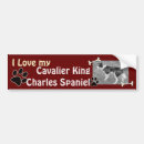 Search for cavalier king charles bumper stickers Puppy