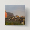 Search for red barn badges Rural