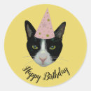 Search for happy birthday hats hats stickers Cat