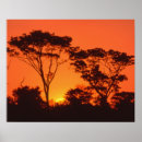 Search for african sunrise art Orange