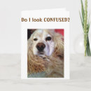 Search for cocker spaniel lover cards Photography