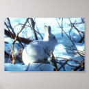 Search for artic posters Arctic