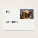 Search for great pyrenees Animals