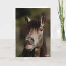 Search for buckskin cards Bob langrish