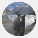Search for canadian rockies stickers Environment