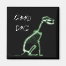 Search for animal xrays Bones