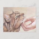Search for love pets postcards Feline
