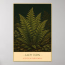 Search for fern illustration posters Botanical