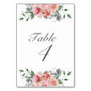 Search for baby pink table cards Whimsical