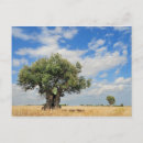 Search for olive postcards Blue