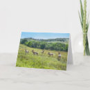 Search for dakota cards Black hills