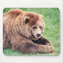 Search for bear mouse mats Photograph