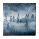 Search for pacific northwest tiles Landscape