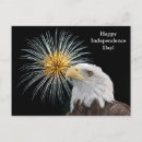 Search for predators postcards Wildlife