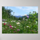 Search for mountain vista posters Flowers