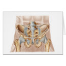 Search for ligaments Digitally generated image