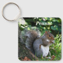 Search for red squirrel key rings Squirrels