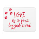 Search for leg magnets Cute