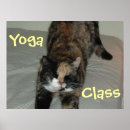 Search for cat yoga posters Sports