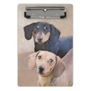 Search for mini dachshund Black and tan