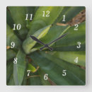 Search for aloe vera plant art Nature