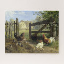 Search for chicken puzzles Farmyard