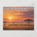 Search for gnu postcards Wildebeest