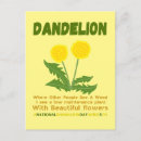 Search for weed postcards Dandelion