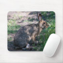 Search for resting mouse mats Wildlife