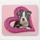 Search for getty mouse mats Dogs