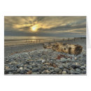 Search for cobblestone Sunset