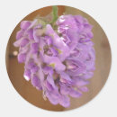 Search for native flower stickers Garden