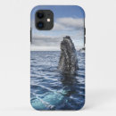 Search for humpback whales iphone cases Sea