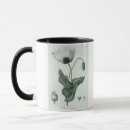 Search for papaver mugs Botanical