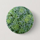 Search for crops badges Food