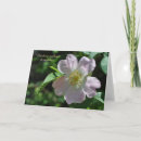 Search for wild shapes cards Wildflower