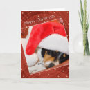 Search for animal rescue christmas cards Animals