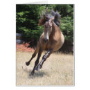 Search for buckskin cards Lusitano