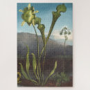 Search for plants puzzles Flora