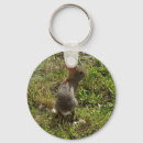 Search for furry animal key rings Wild
