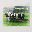 Search for cow herd cards Cute