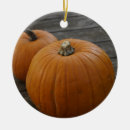 Search for harvest christmas tree decorations Pumpkins