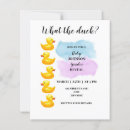 Search for duck gender reveal He or she