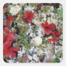 Search for up close stickers Light