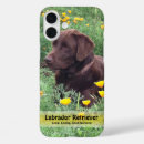 Search for california poppy iphone cases Poppies
