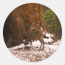Search for mule deer stickers Wildlife