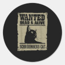 Search for schrodinger stickers Funny