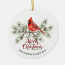 Search for branch christmas tree decorations Holiday keepsake