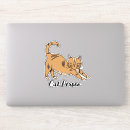 Search for big kitty stickers Pet